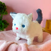 Cute Cat Plush Toy