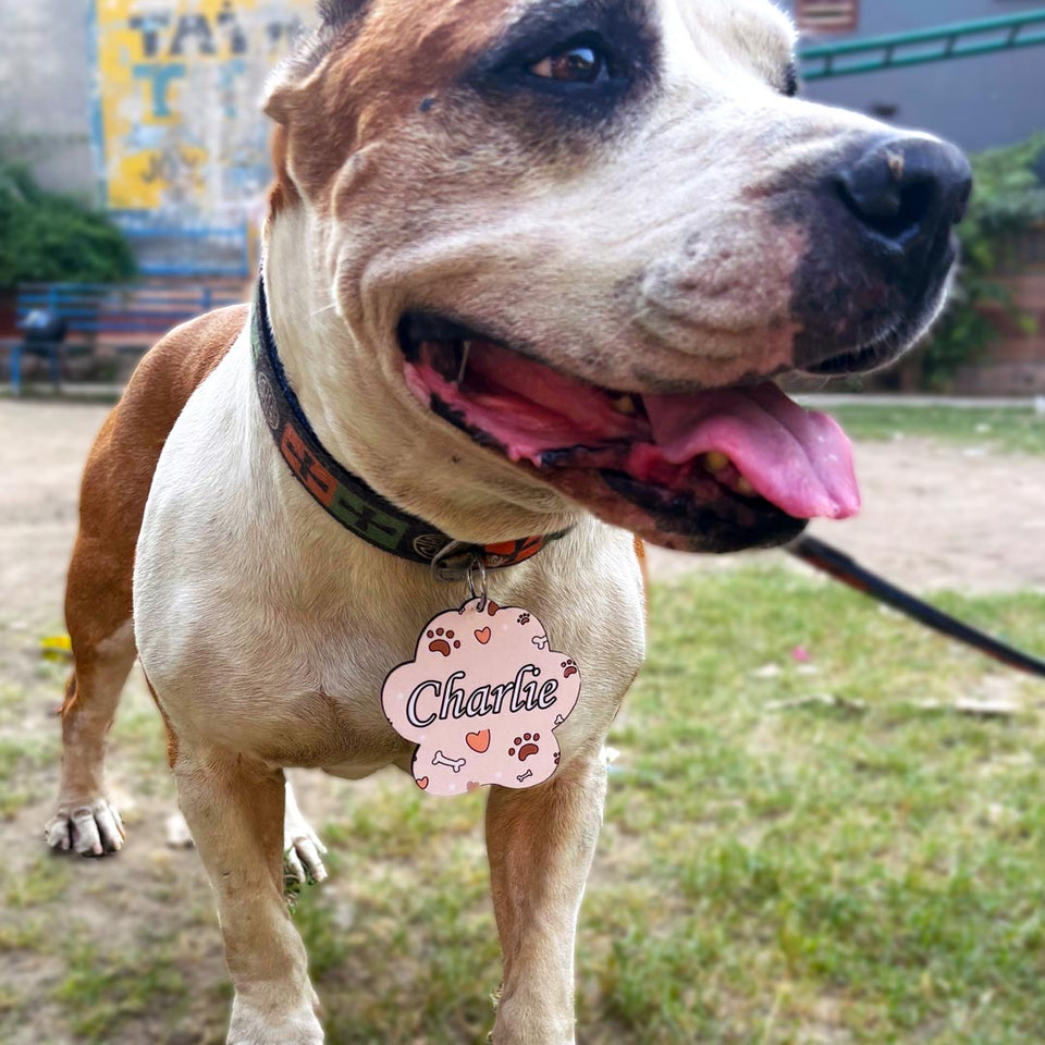 Personalized Wooden Dog Name Tag