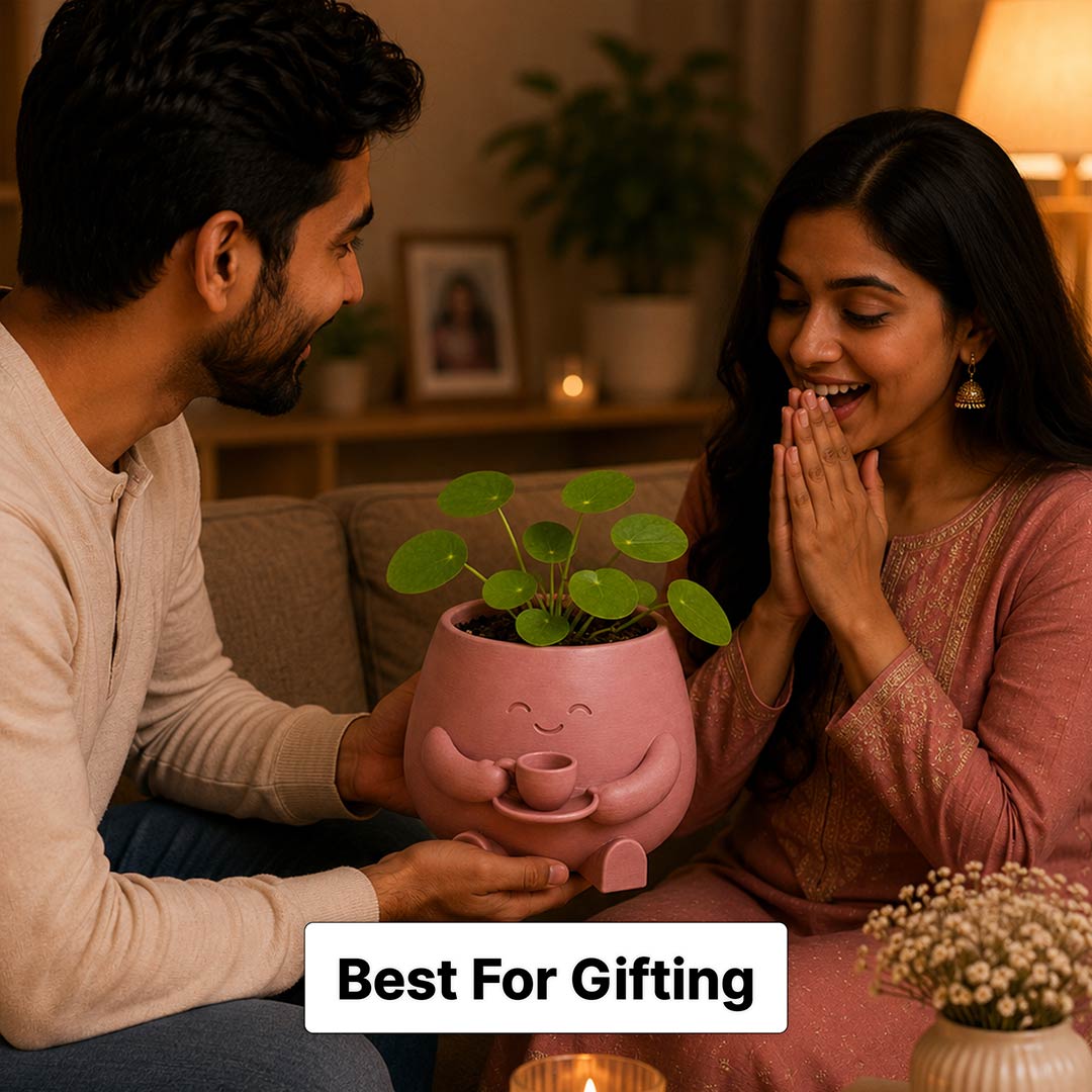 Custom Name Plant Buddy Pot 5 Inch | Personalized Plastic Indoor Planter for Small Plants, Desk, Window, Balcony & Home Decoration