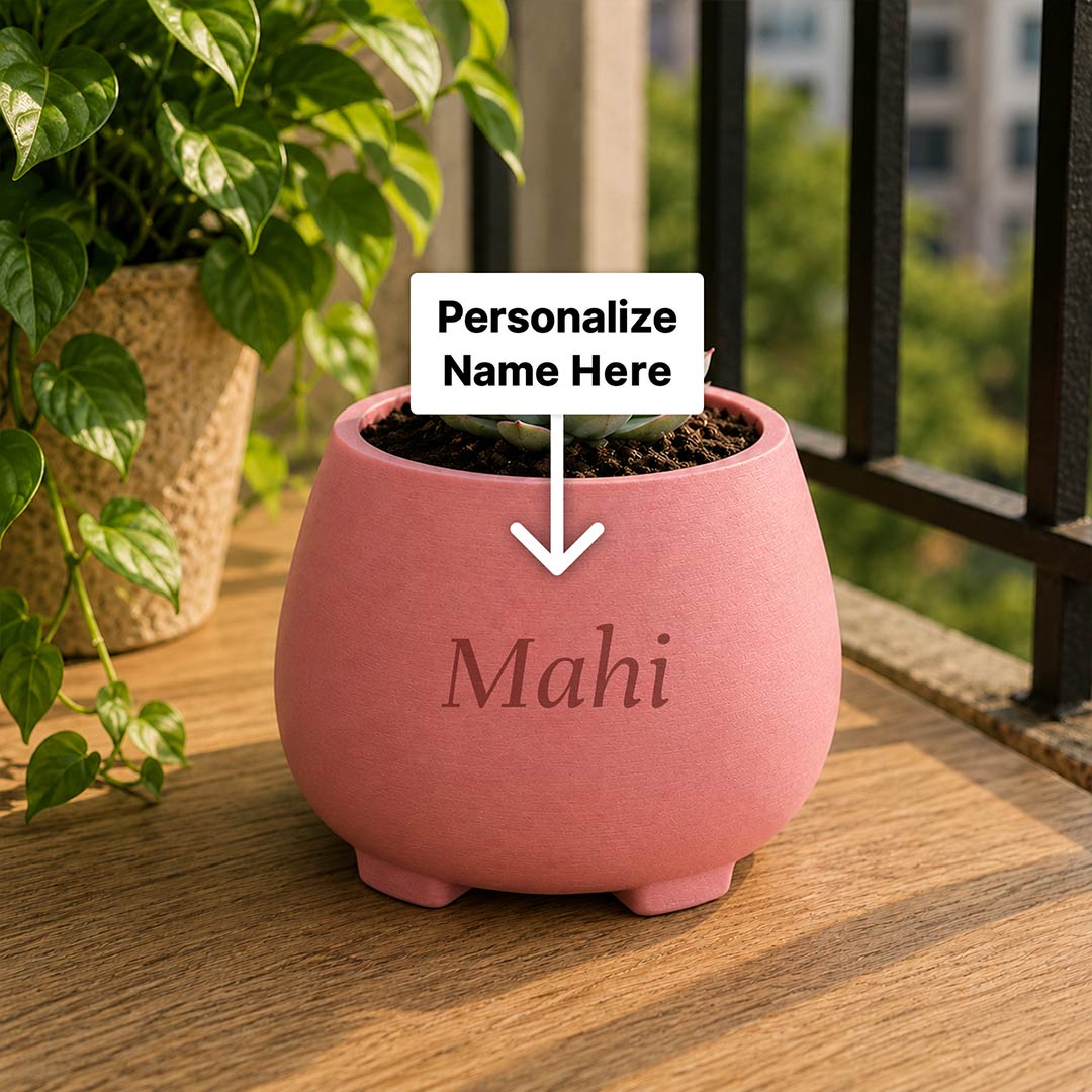 Custom Name Reader Plant Buddy Pot 5 Inch | Cute Plastic Planter with Book & Coffee Mug Design for Readers & Book Lovers