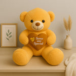 Someone Special Teddy Bear Plush – Heart Holding Gift for Loved Ones | Love Craft Gifts
