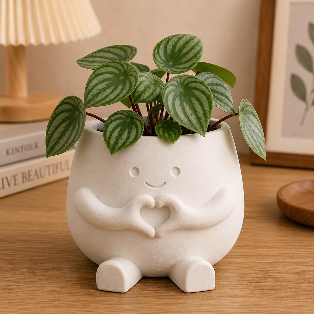 Personalized Love Plant Buddy Pot with Custom Name | Cute Heart Hands Character Planter for Desk & Home Décor | Love Craft Gifts™