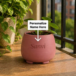 Personalized Plant Buddy Pot with Custom Name 5 Inch | Cute Plastic Planter for Indoor Plants, Office Desk, Bedroom & Balcony Décor