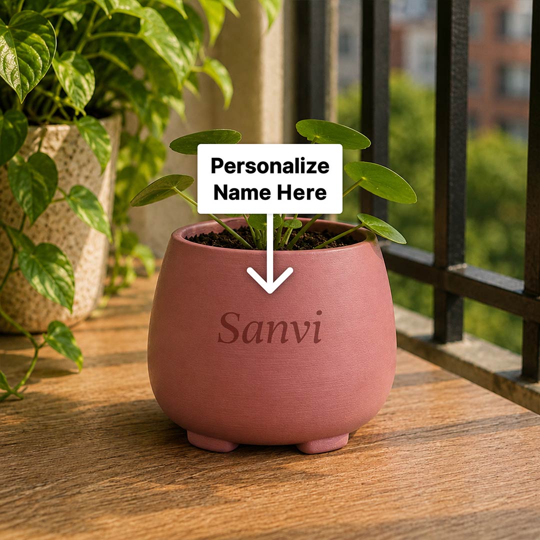 Personalized Plant Buddy Pot with Custom Name 5 Inch | Cute Plastic Planter for Indoor Plants, Office Desk, Bedroom & Balcony Décor