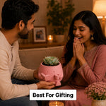 Personalized Reading Plant Pot 5 Inch | Custom Name Cute Book & Coffee Character Planter for Office Desk, Bedroom & Study Table